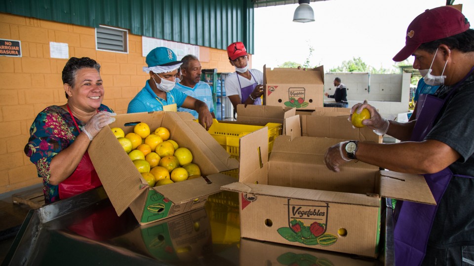 Pequeños productores convertidos en agroempresarios