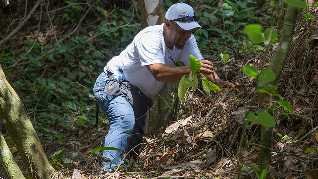 Jornada simultánea de  reforestación:  Barrick - UERS