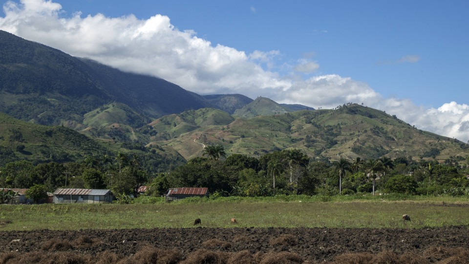 Reverdecer nuestras lomas y montañas, es el objetivo de Reforestemos Quisqueya