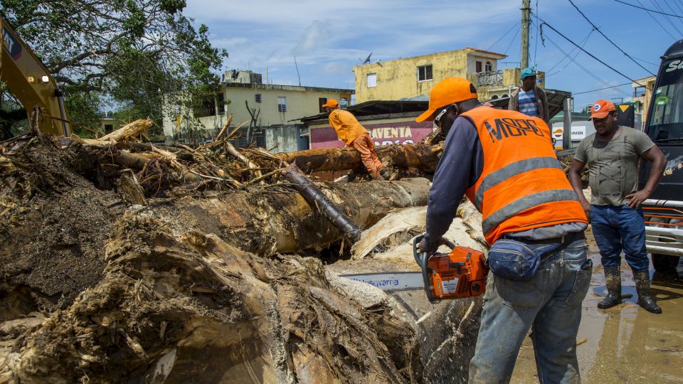 VIDEO: Trabajando sin descanso