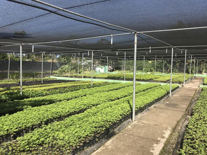 Visita de inspección