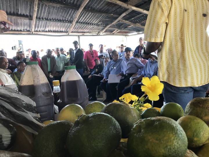 Alegría y esperanza entre productores de Mata de Palma por Visita Sorpresa de Danilo
