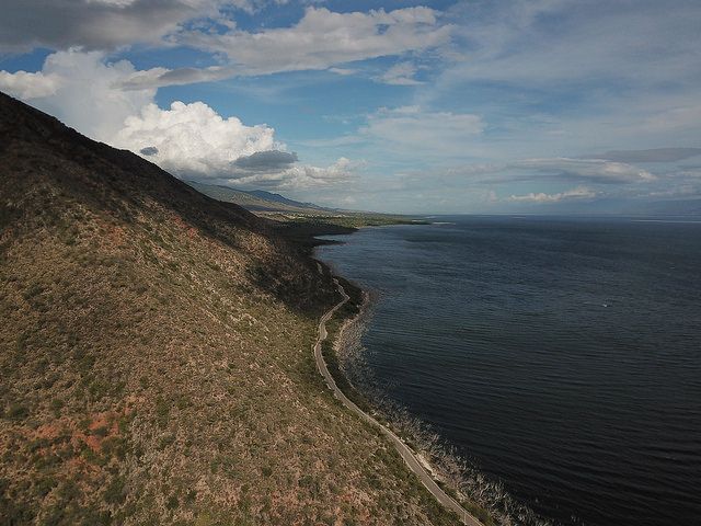 Reforestamos las lomas