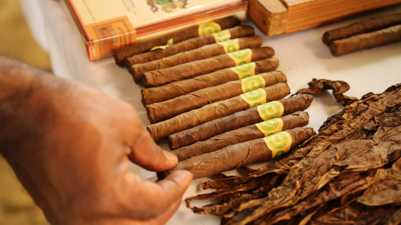 Manos elaborando tabaco