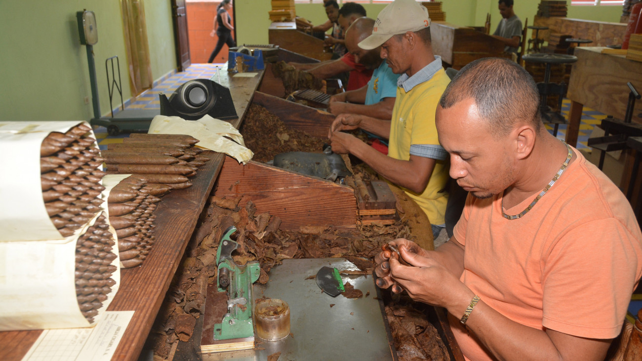 Tamboril, Visita Sorpresa, seguimiento, Comisión, productores de cigarro,