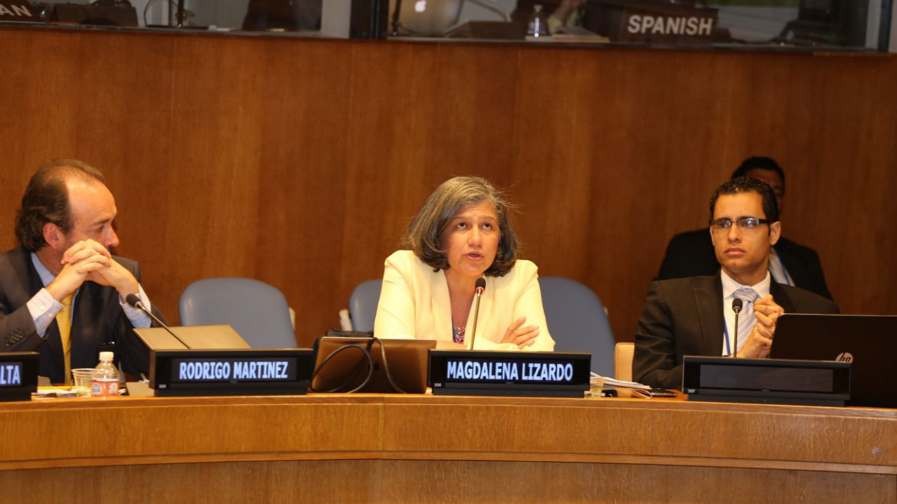 Vice ministra de Planificación y Desarrollo.