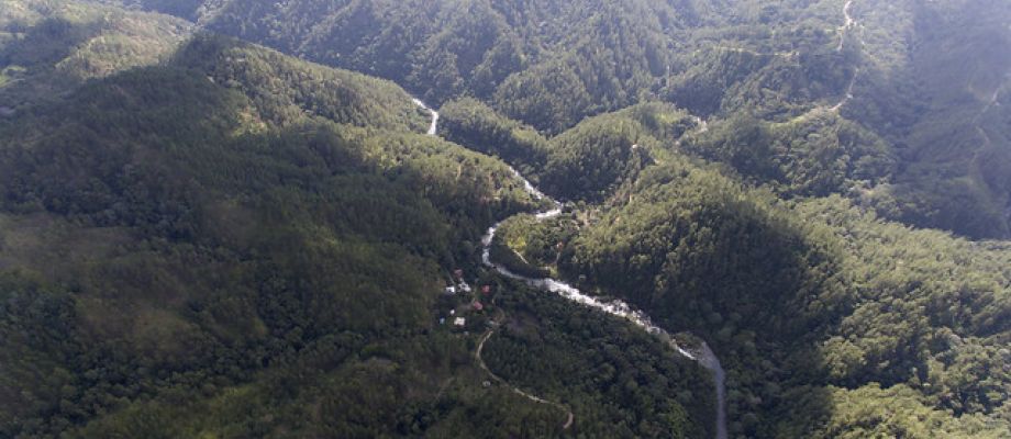 Cuidamos los ríos y mares y regeneramos nuestros bosques garantizando un país y planeta más limpio para los dominicanos y toda la humanidad