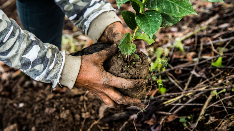 Reforestamos porque amamos nuestra patria con sus montañas y sus ríos.