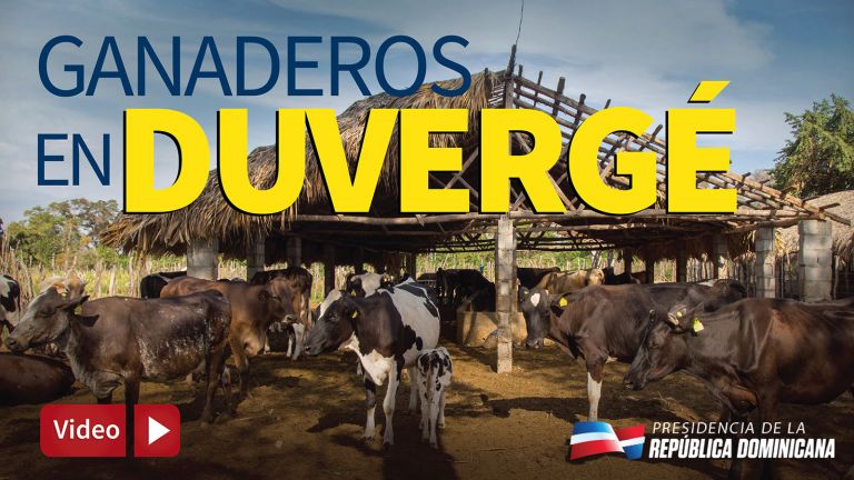 Ganaderos de Duvergé