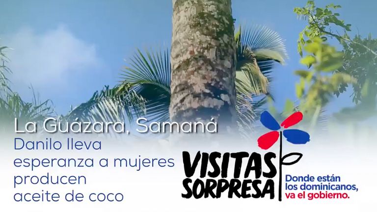 Visitas Sorpresa 