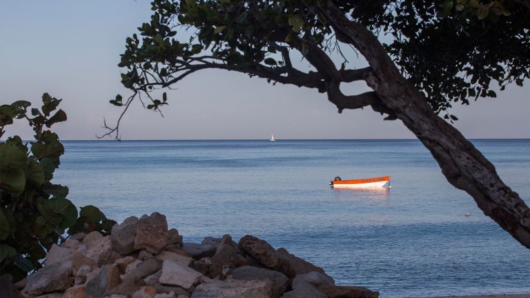 Bahia de las Aguilas