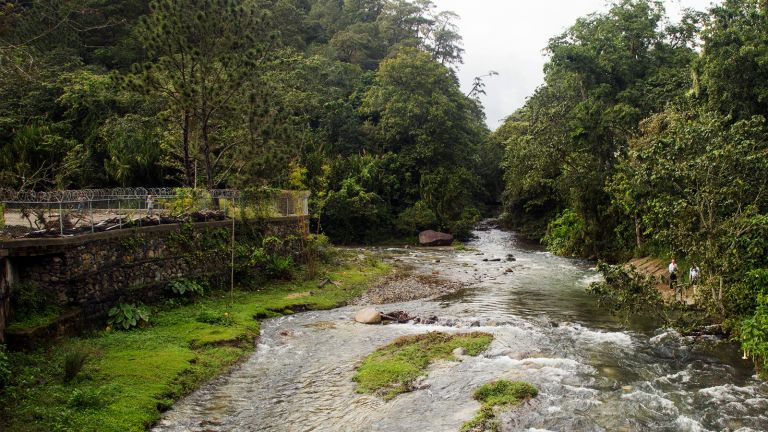 Toño Benero en reforestación 