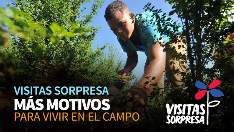 Productor beneficiario de las Visitas Sorpresa