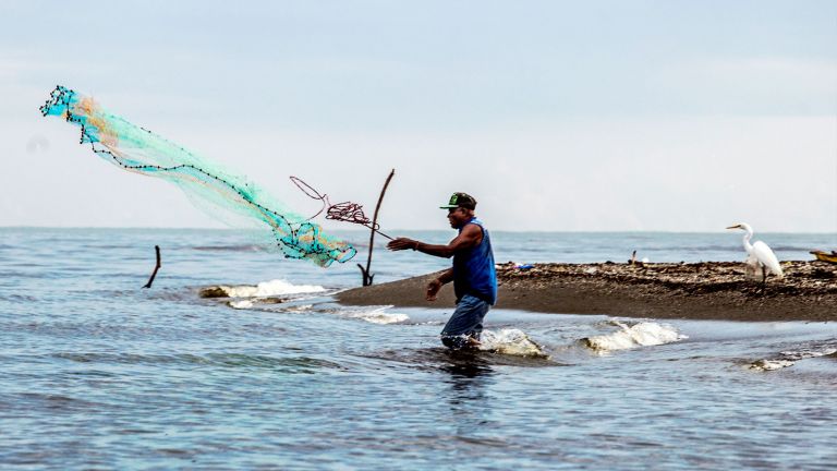 Veda captura y comercialización especies marinas