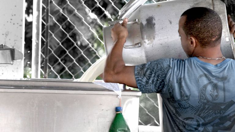 Ganaderos de Hato Mayor rebosan de alegría; dan primer picazo para planta de lácteos