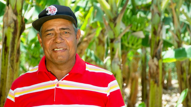 José Melo Lara, productor de banano orgánico de Finca 6, Azua.