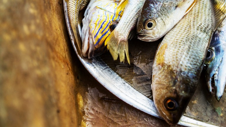 Minutas de Sabana de La Mar