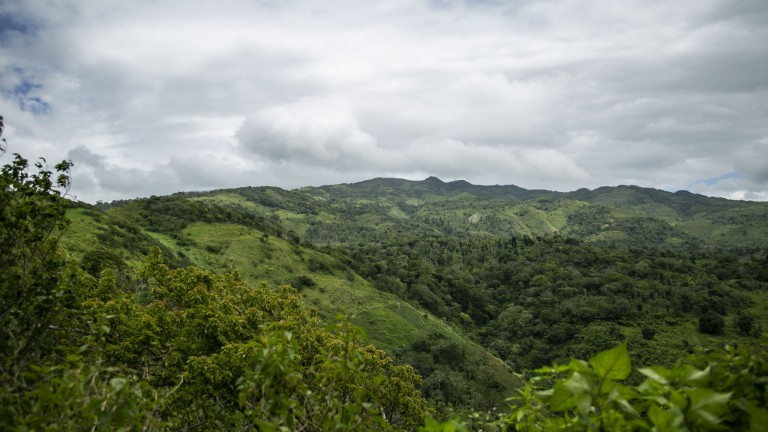 Las Lanzas, Barahona