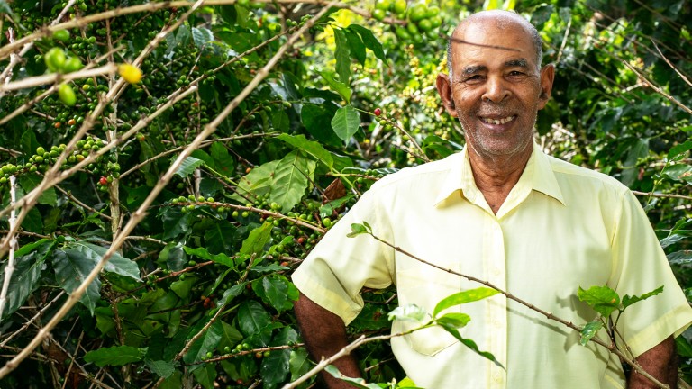 Victoriano Samboy. Productor de café, Pedernales