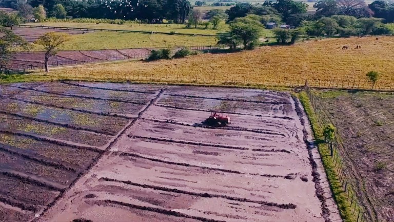 Más de 50,800 parcelas y solares han sido titulados