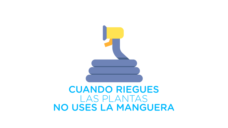 Cuando riegues o mojes las plantas no uses la manguera.‬  ‪Con una regadera tendrás más control del agua que usas.‬