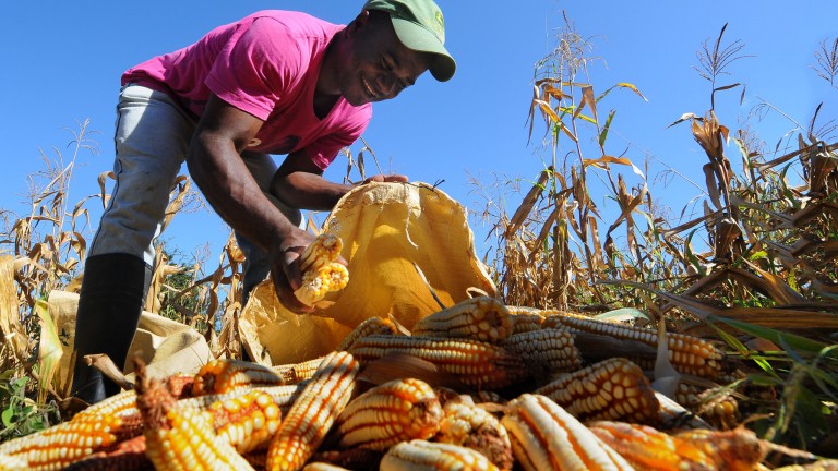 FAO destaca reducción pobreza en República Dominicana; apoyará esfuerzos Gobierno en región Sur