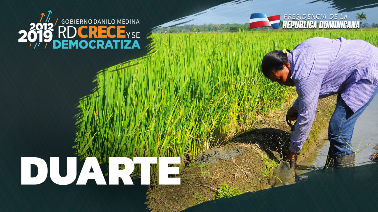 Duarte en cifras 2012-2019