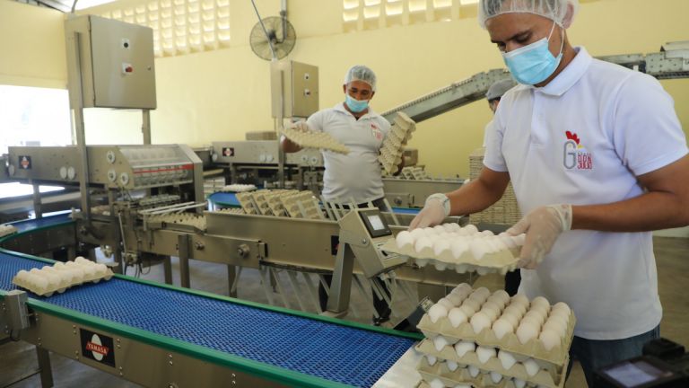 10 millones de huevos diarios de calidad