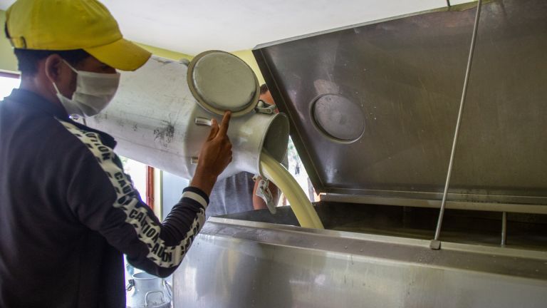 Más de 100 mil litros de leche para el desayuno escolar