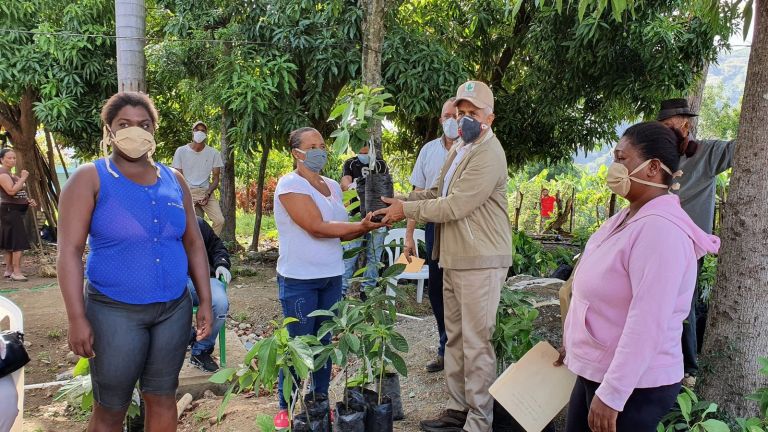 Ministro de Agricultura, Osmar Benítez entrega plantas de aguacates a productores de Azua