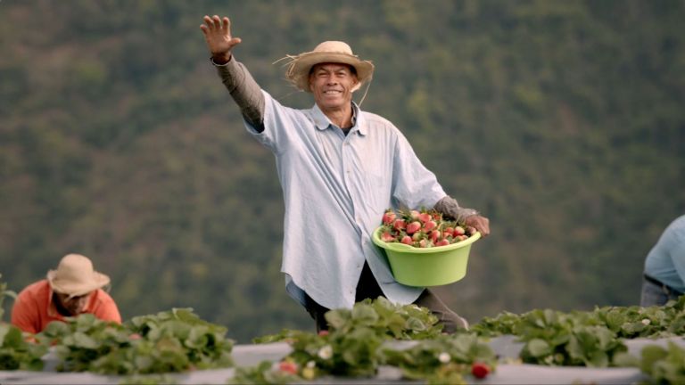 Productor beneficiario de las Visitas Sorpresa