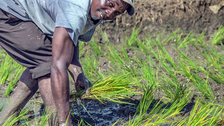 Agricultor