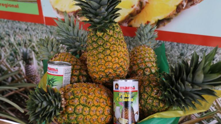 Feria de la piña.