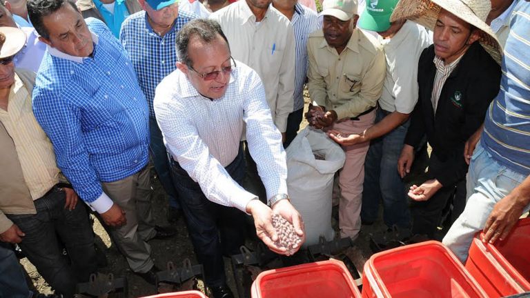 Ángel Estévez en inicio de siembra masiva de habichuelas en San Juan
