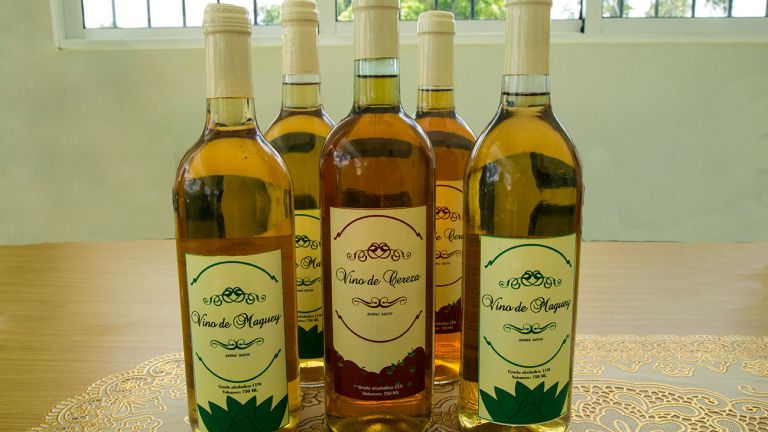 Vinos de fruta