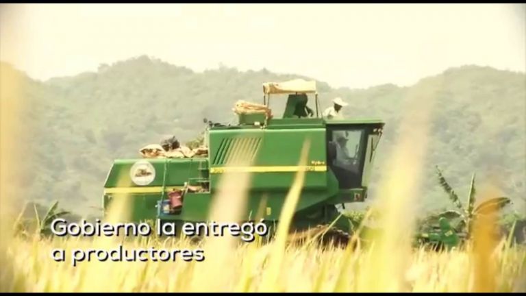 Factoría de arroz en el Limón del Yuna