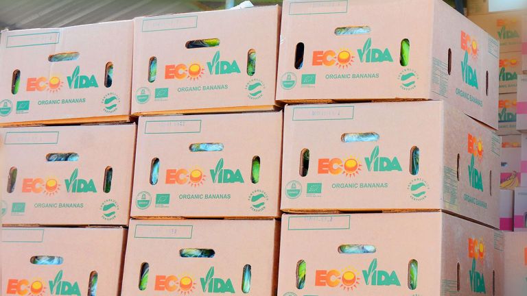 Banano empacados para exportación