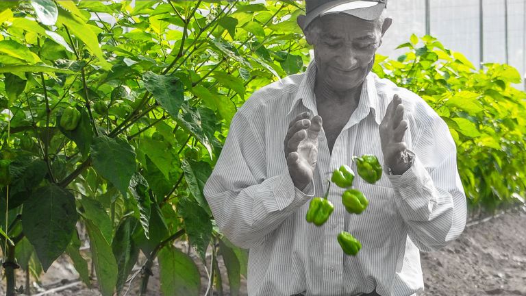 Productor beneficiario de las Visitas Sorpresa