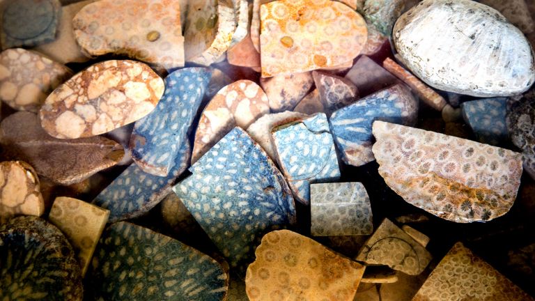 Piedras preciosas 