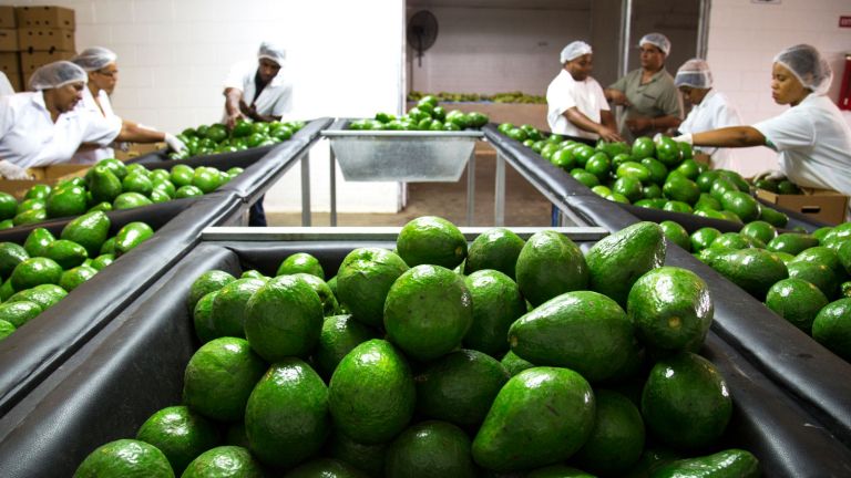 Exportar permite llegar a más compradores y a mejores precios.