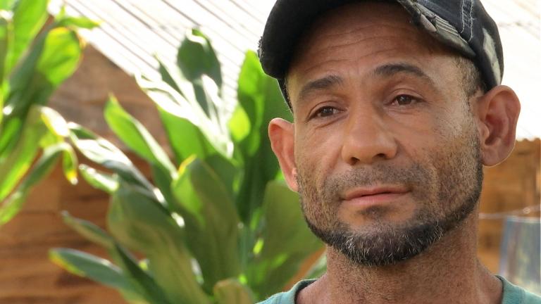 Testimonios de reforestación