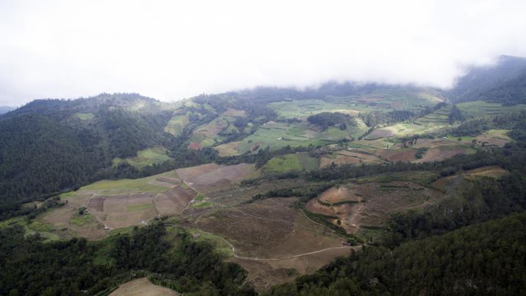 Valle Nuevo 