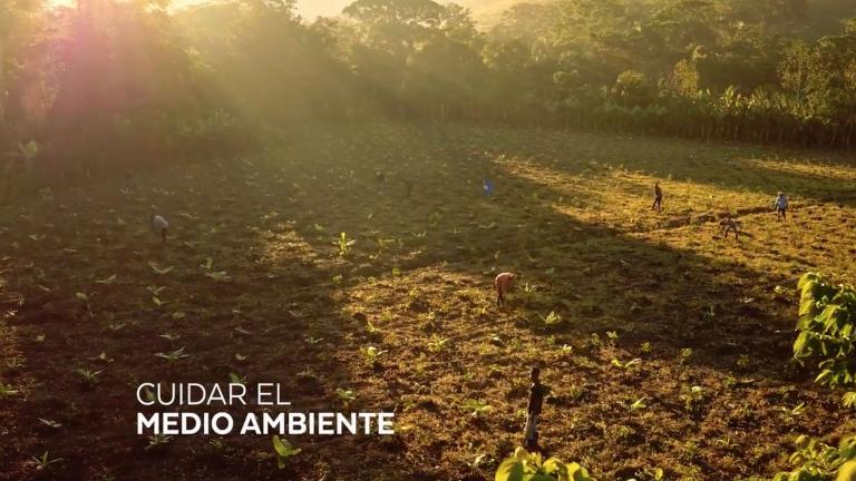 Tierra con árboles y sol