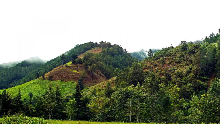 Montañas de Jarabacoa