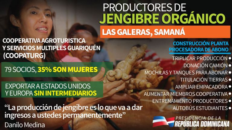  PRODUCTORES DE JENGIBRE ORGANICO